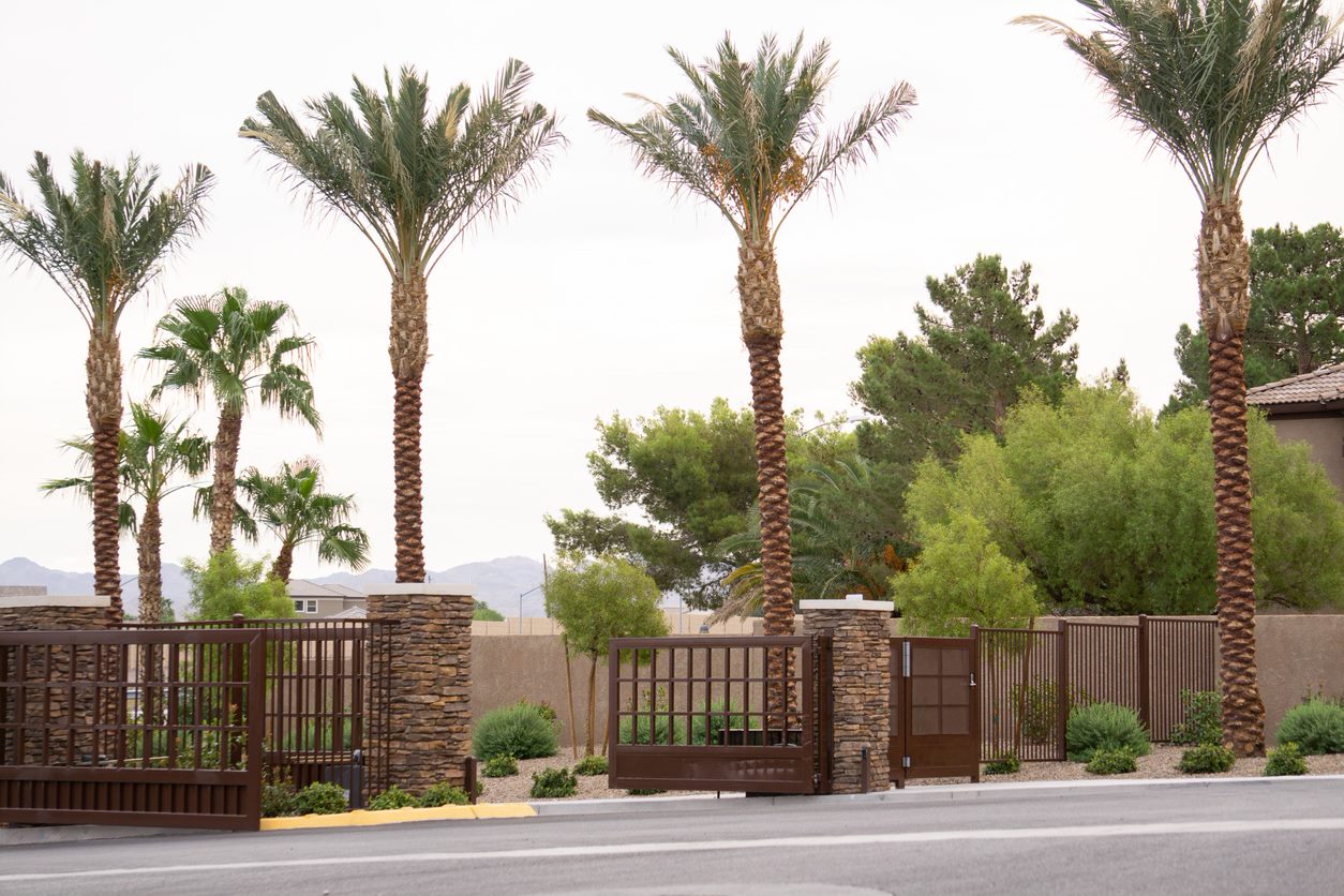 Hirschi Iron Las Vegas